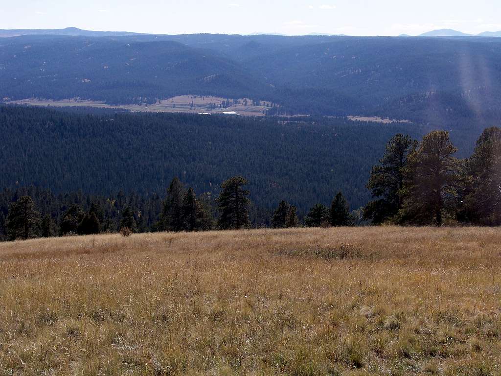 Grassy Meadow, looking southwest