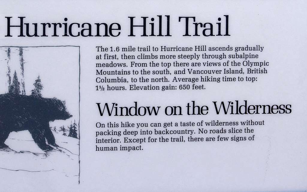 Hurricane Hill Trail TH sign