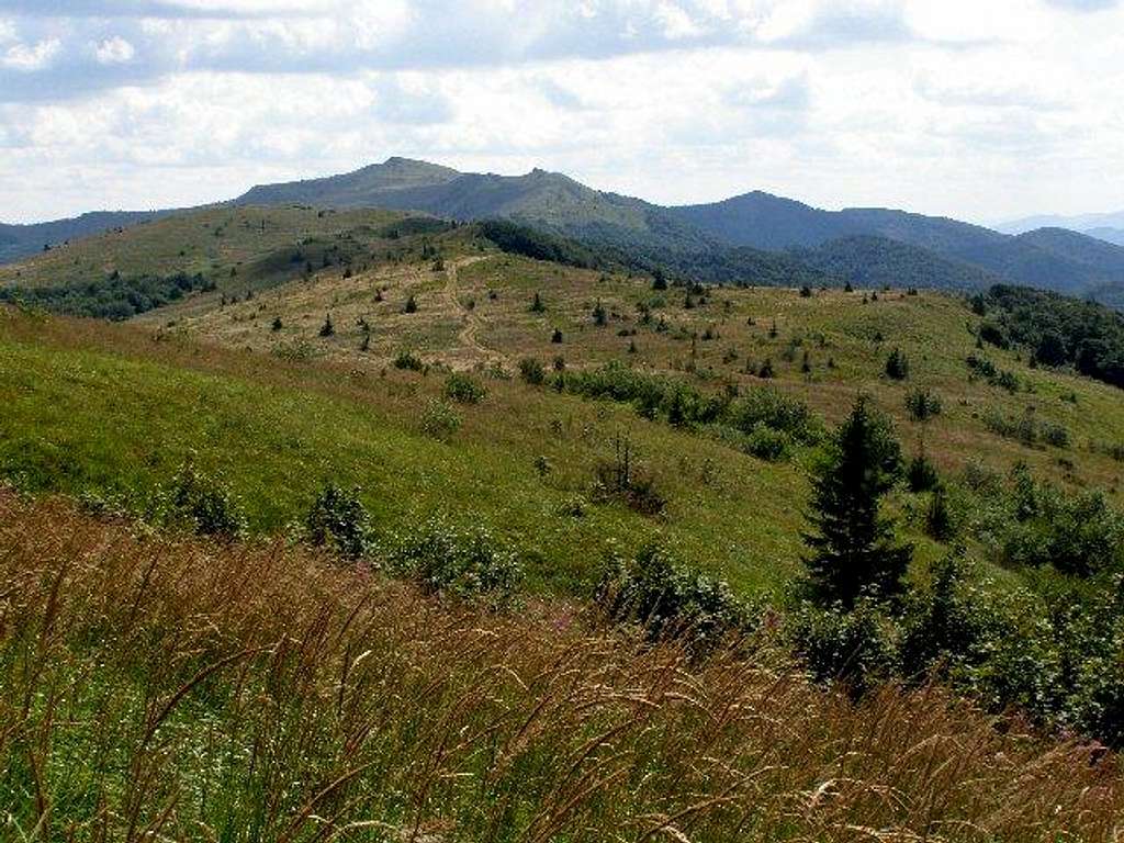 Polonina Bukowska – view towards Mount Kinczyk Bukowski (1251 m)