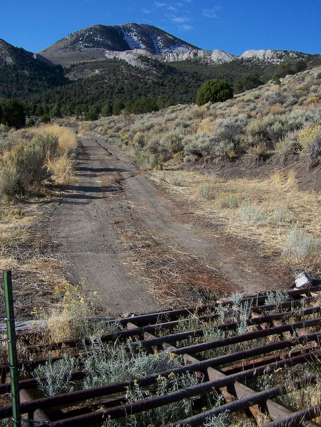 Cattle Guard and Becky Peak