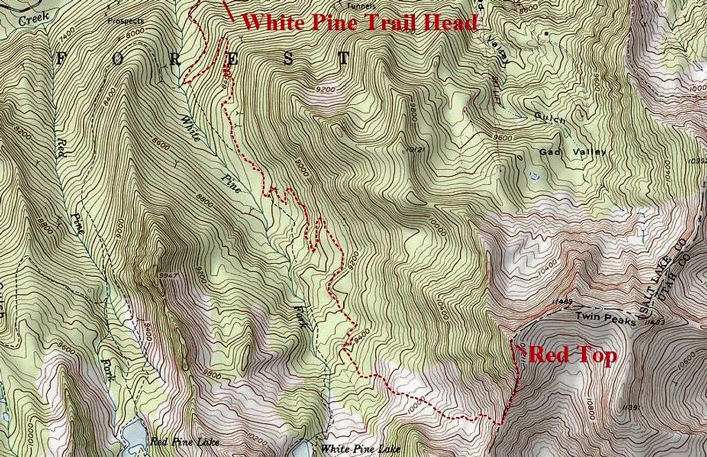 White Pine Topographic.