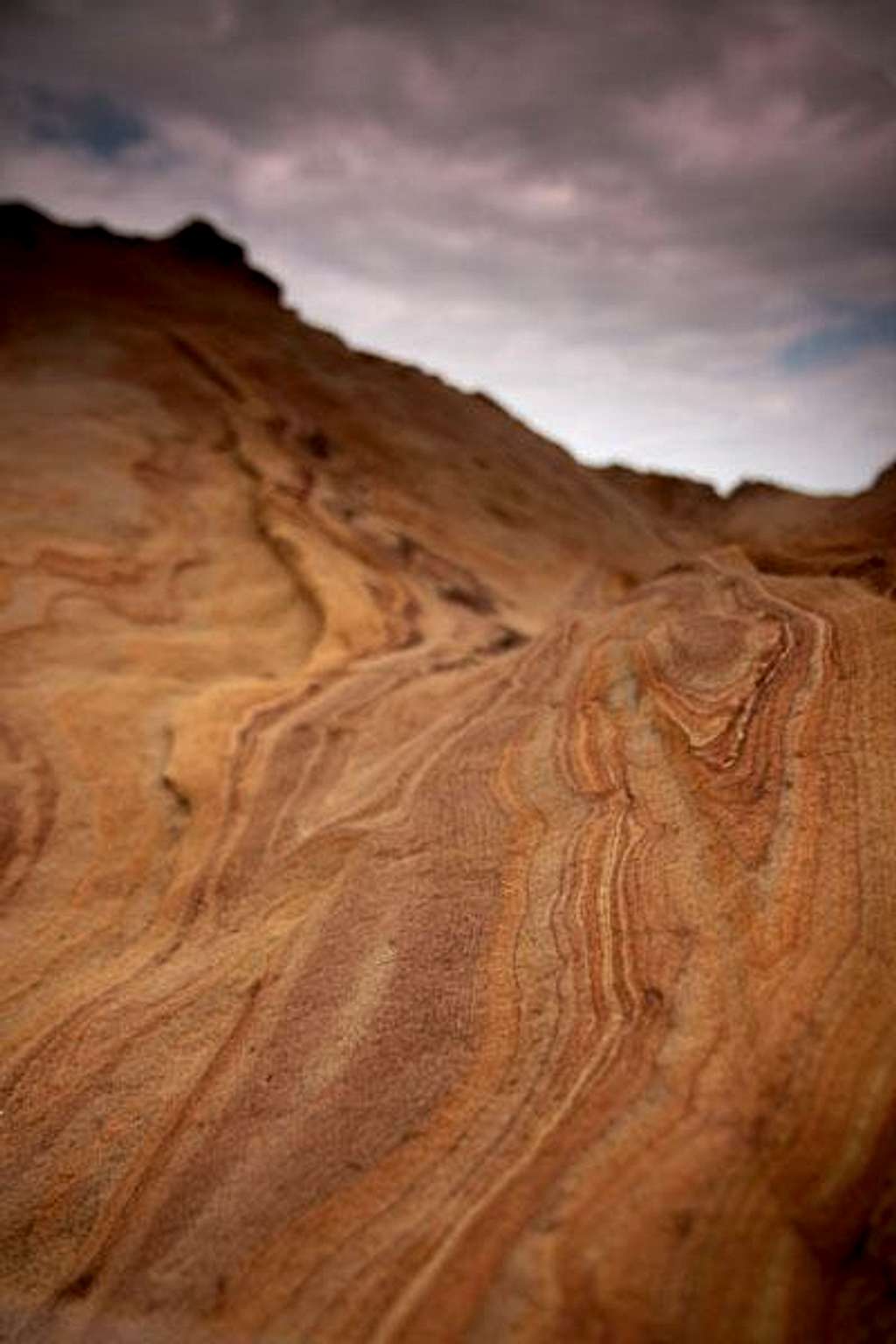 Sandstone Striae in Yehliu