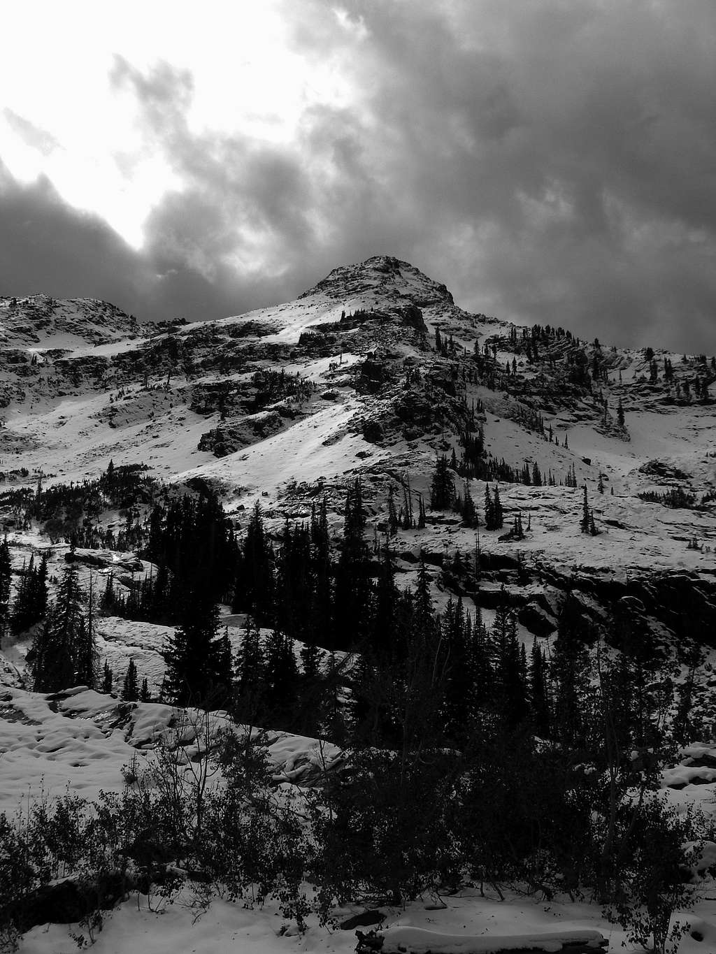 A black and white of Dromedary Peak