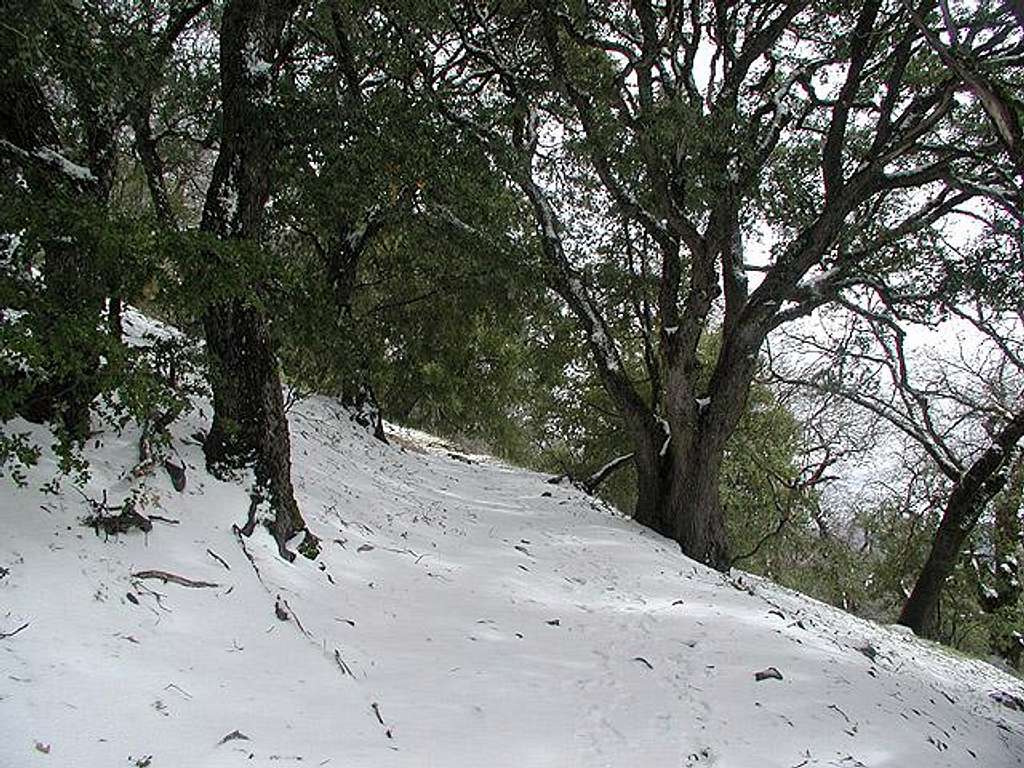 Snow on the trail going up...