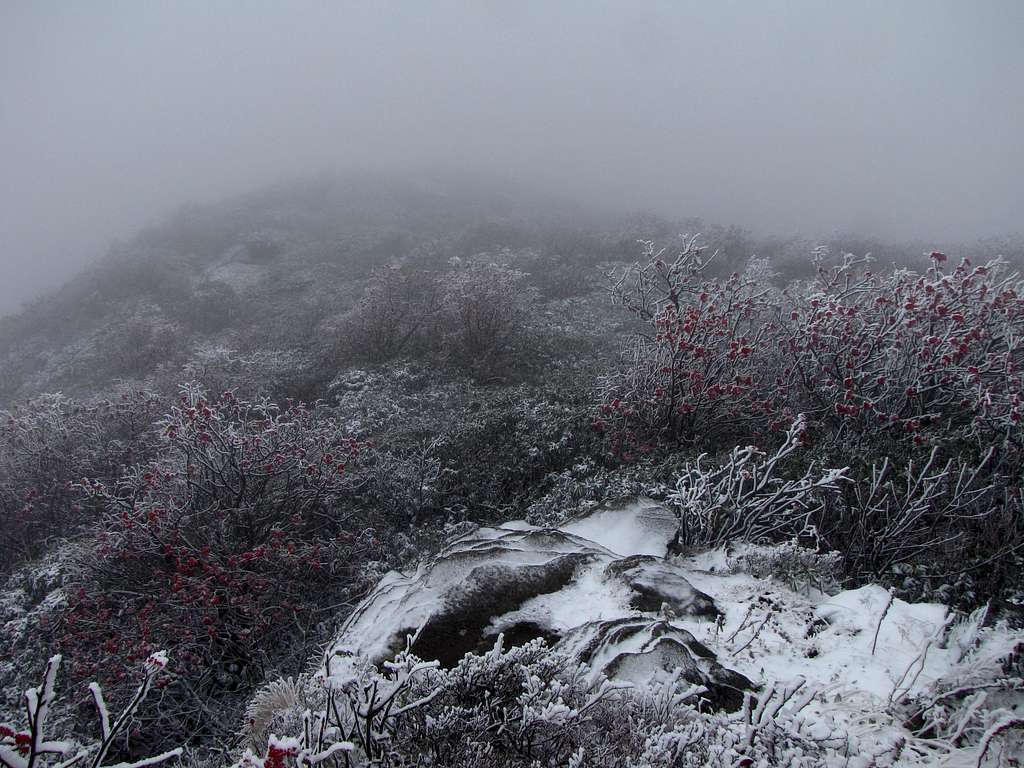 First Snow