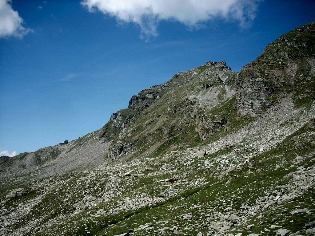 Pizzo Claro from pass q. 2270 of Alp di Stabveder