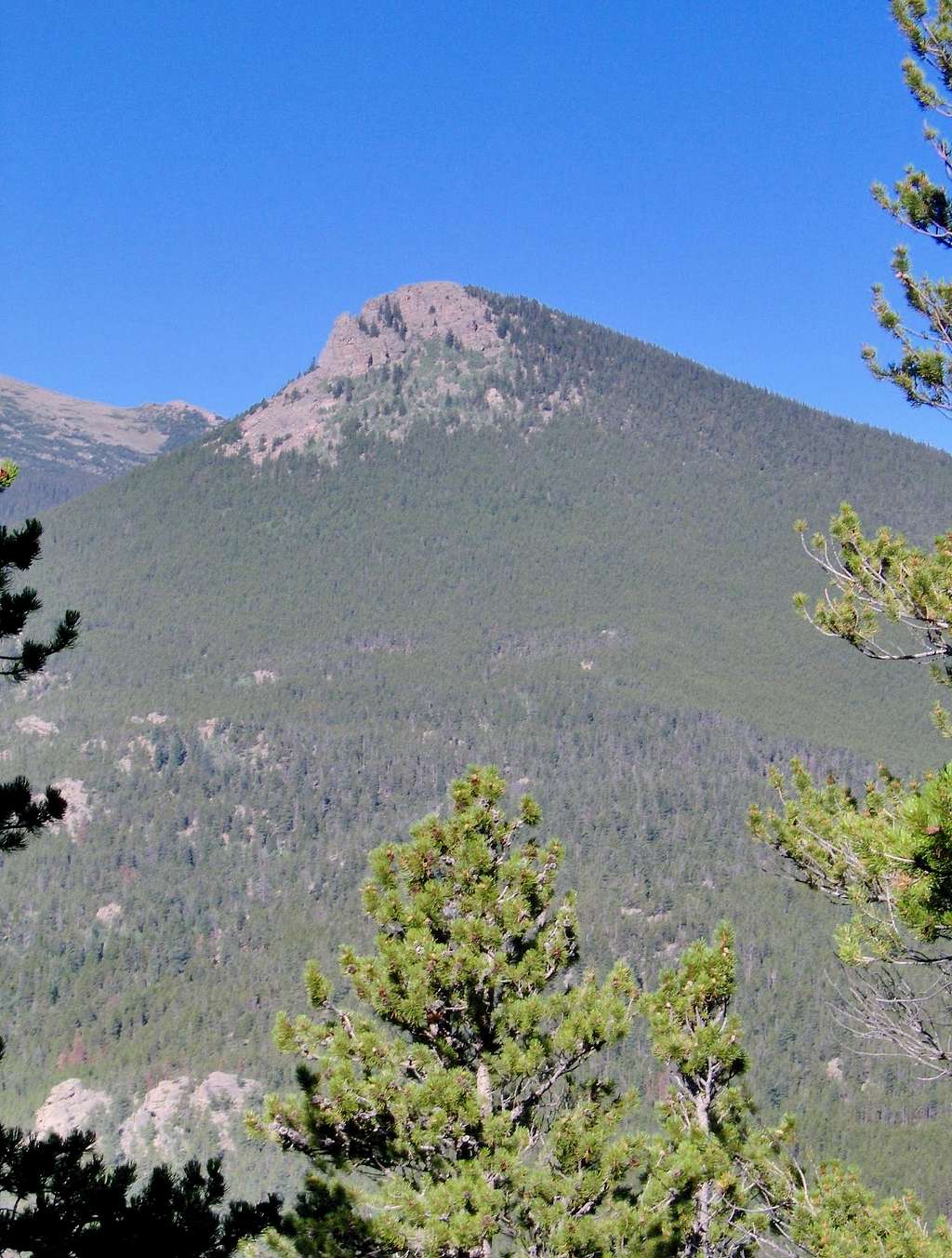 Estes Cone from Twin Sisters Trail