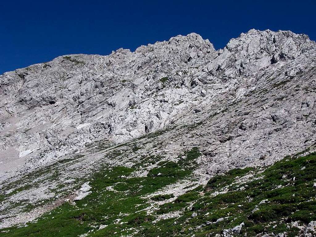SE ridge of Ojstrica
