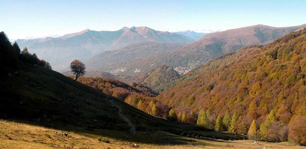Fall in Val Colla 