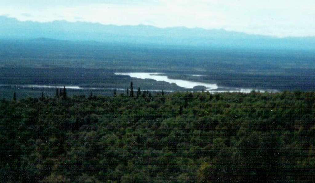 Tanana Valley View
