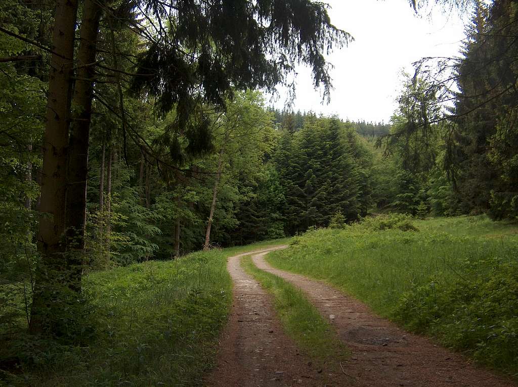 Trail to Borůvková Hora