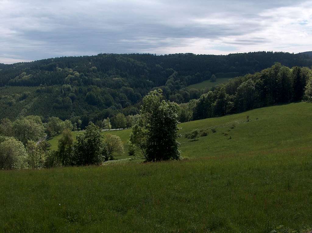 Trail to Borůvková Hora
