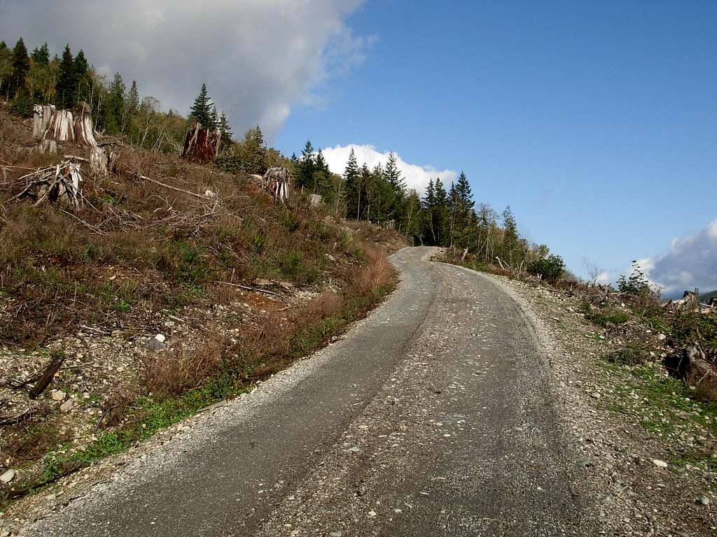 PNT - Bloedel Logging Road