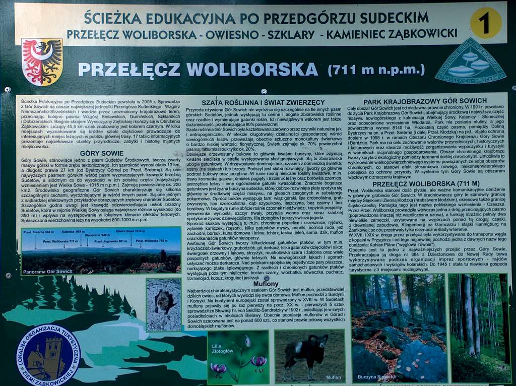Pass Przełęcz Woliborska