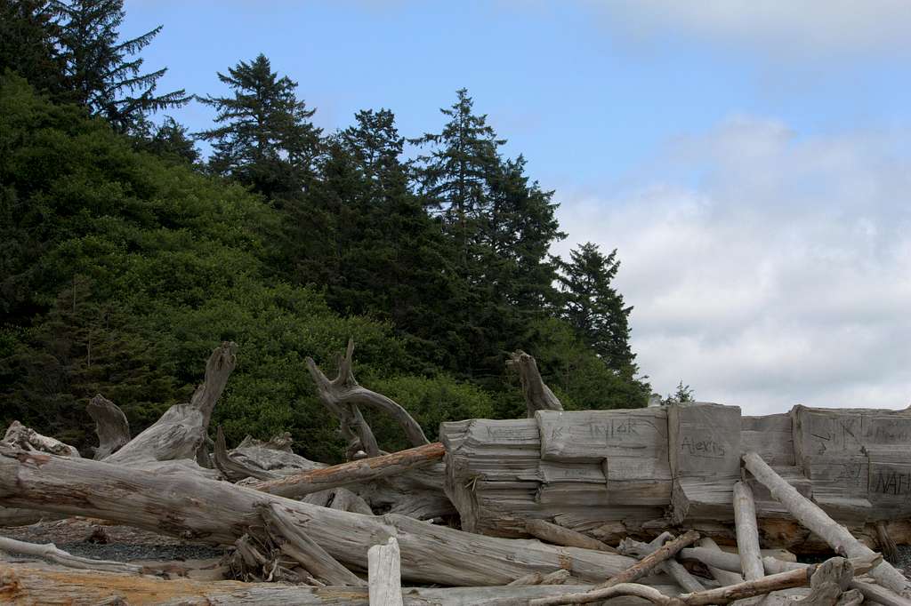 Driftwood comes quite large