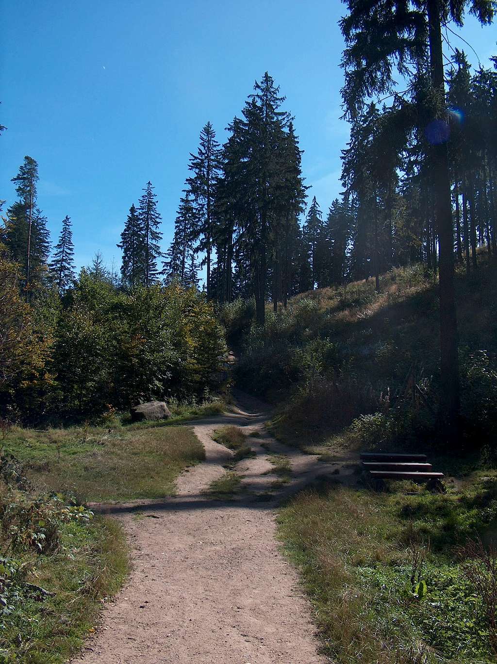 Near Przełączka pass (Rudawy Janowickie)