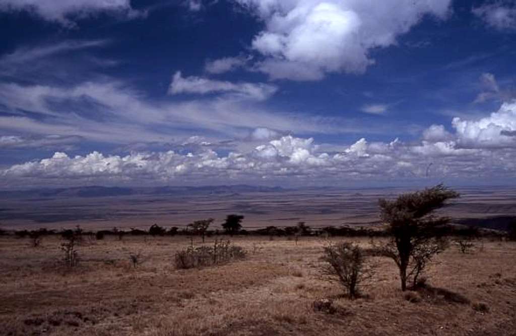 Serengetti Landscape
