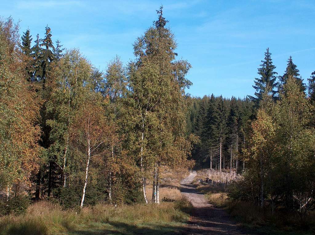 Trail to Skalnik