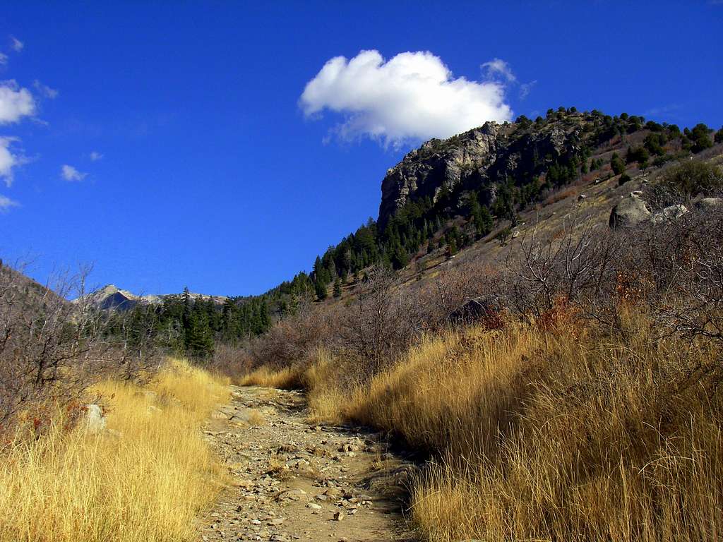  Dry Creek Canyon Trail
