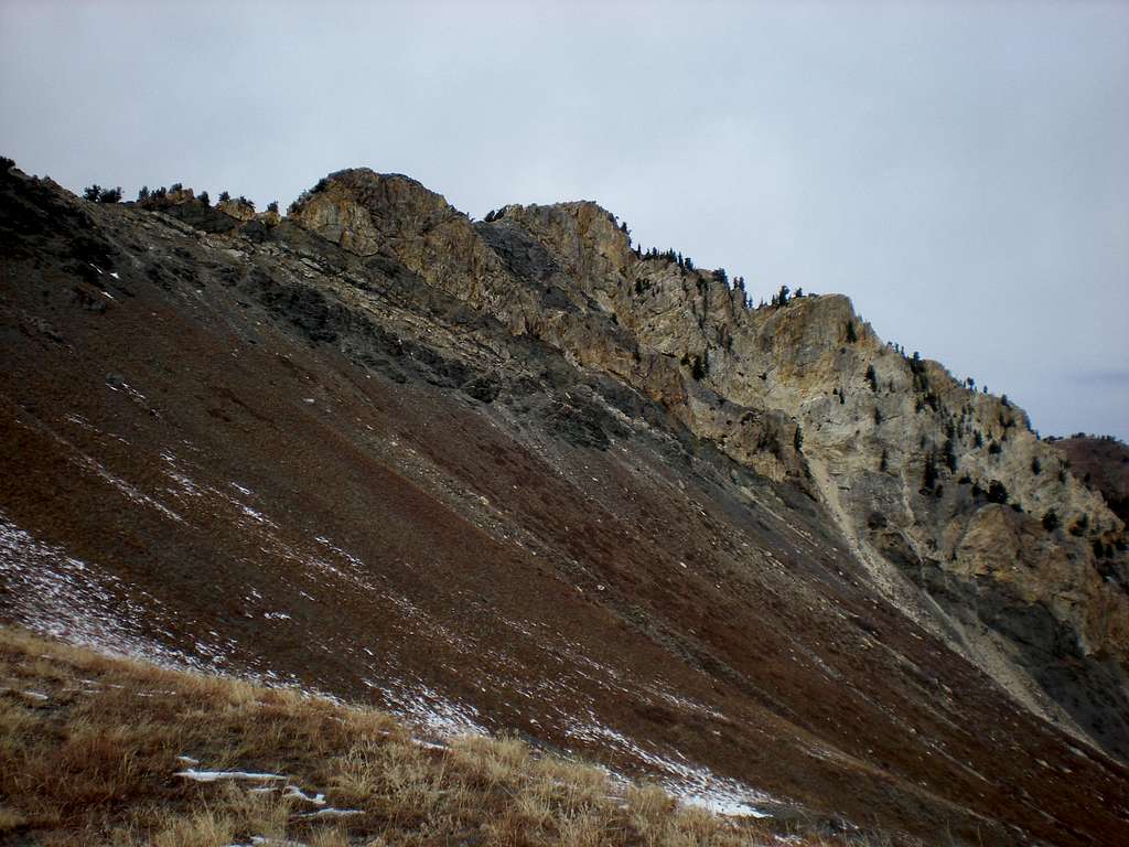 Willard Peak