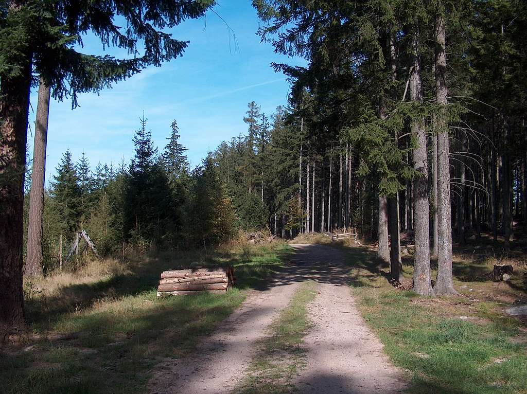 Trail in Rudawy Janowickie