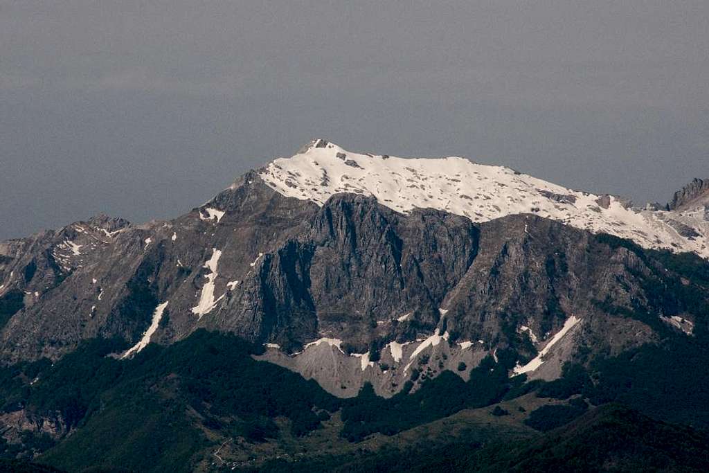 Monte Tambura