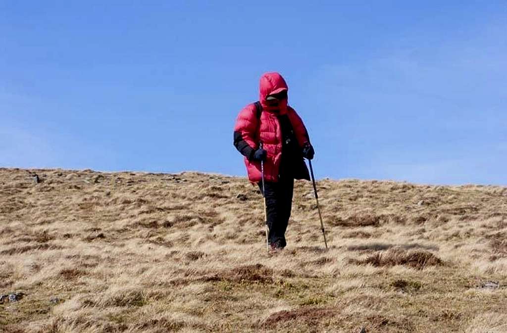 Lolli feeling the cold wind in Snowdonia
