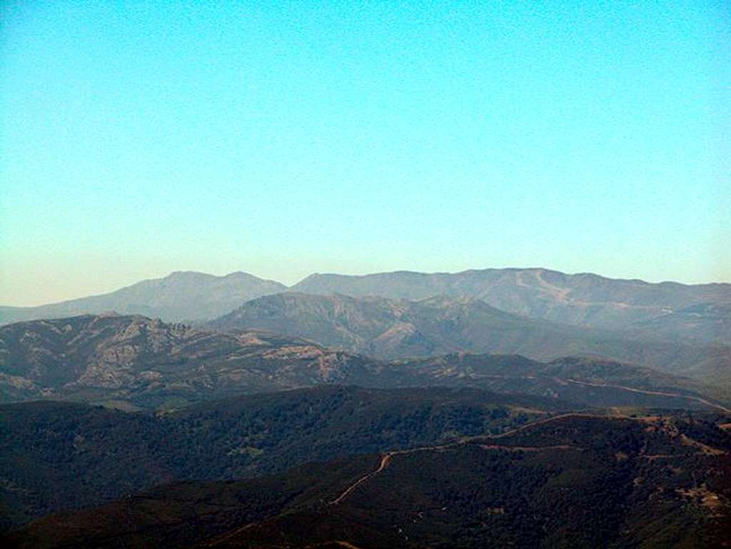 Summit view Punta Carabidda:...