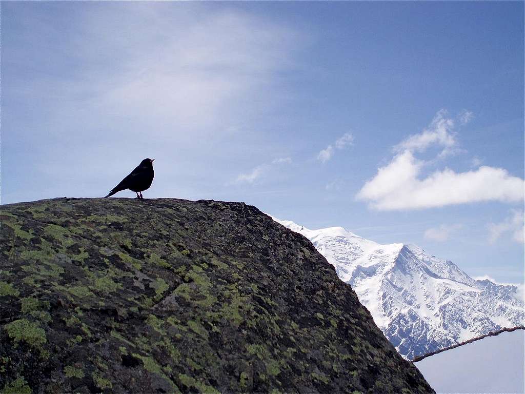 Chouca, Mont Blanc