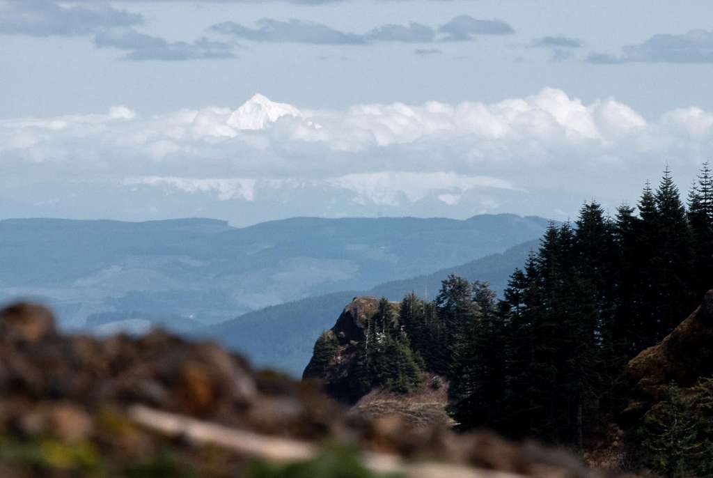 Mt. Hood from Saddle Mountain