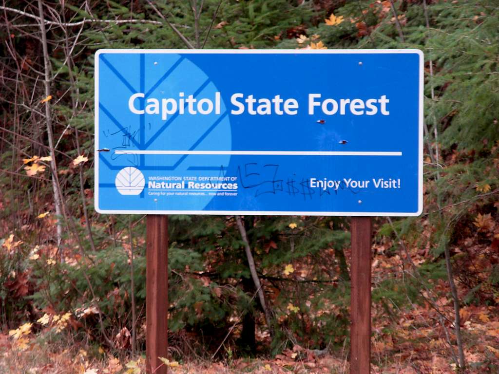Capitol State Forest