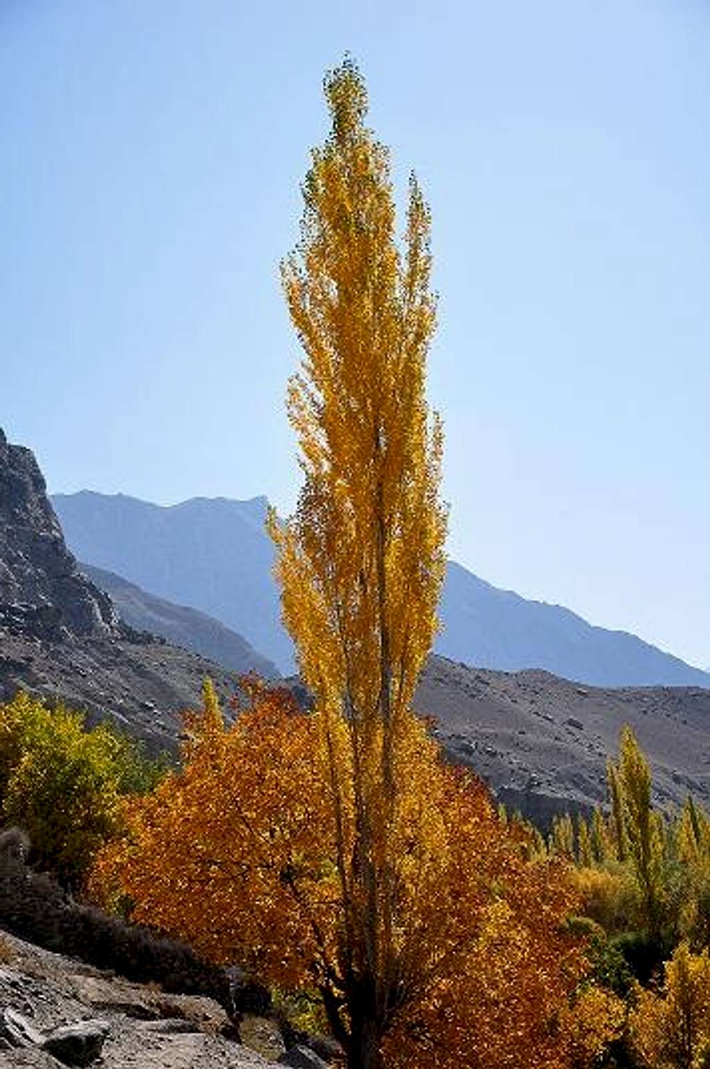 Autumn in Hunza Valley 