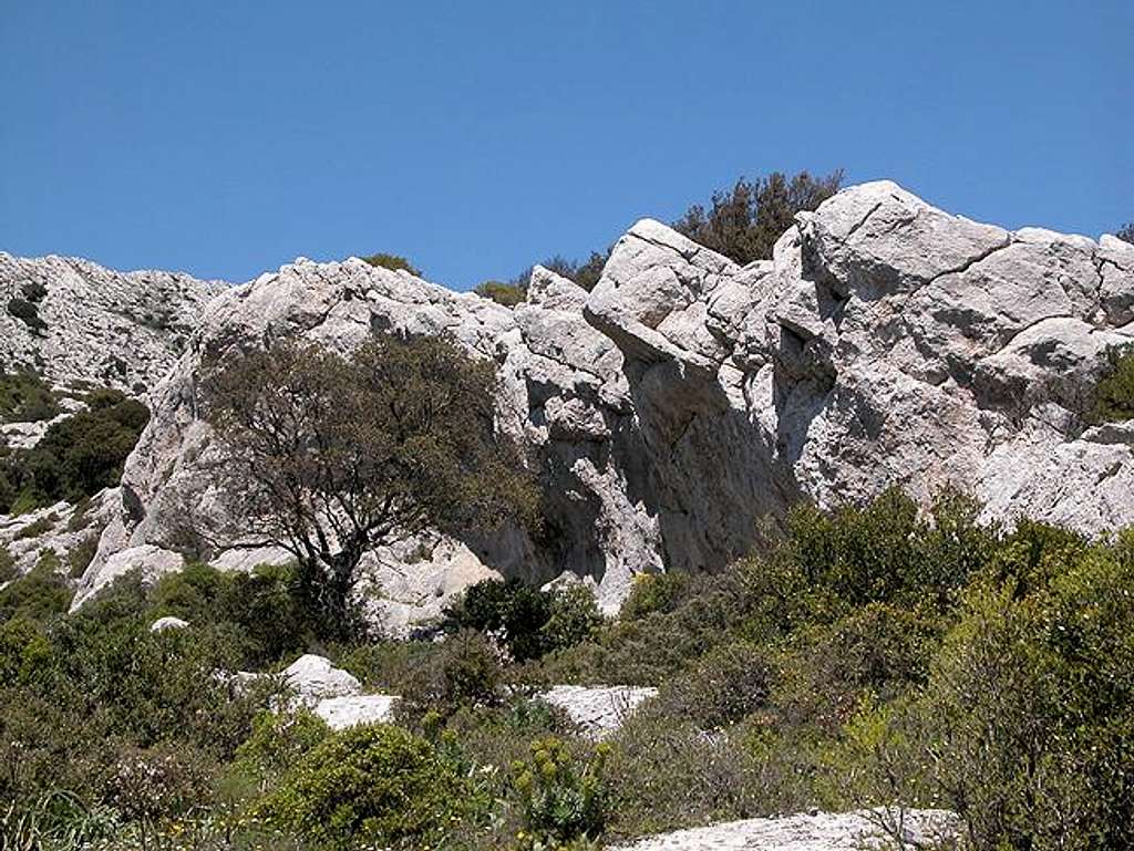 Bouldering rocks near the...