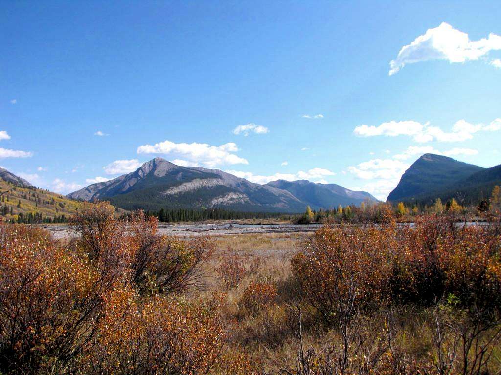 West from Sundre 'Ya Ha Tinda Ranch