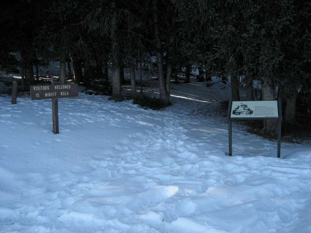 High Park trail head