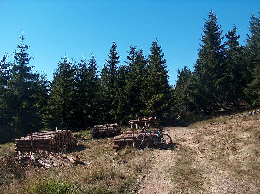 The trail between Czarna Góra and Śnieżnik 