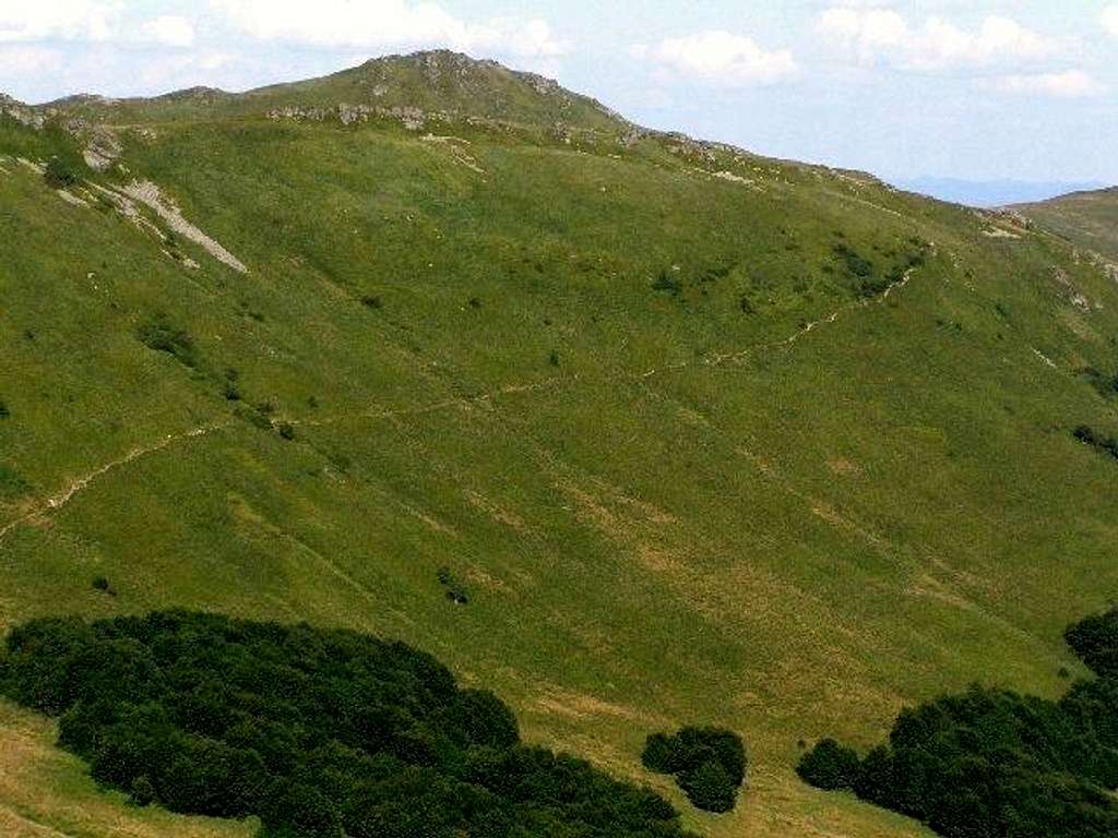 Southern slope of Mount Krzemien (1335 m)