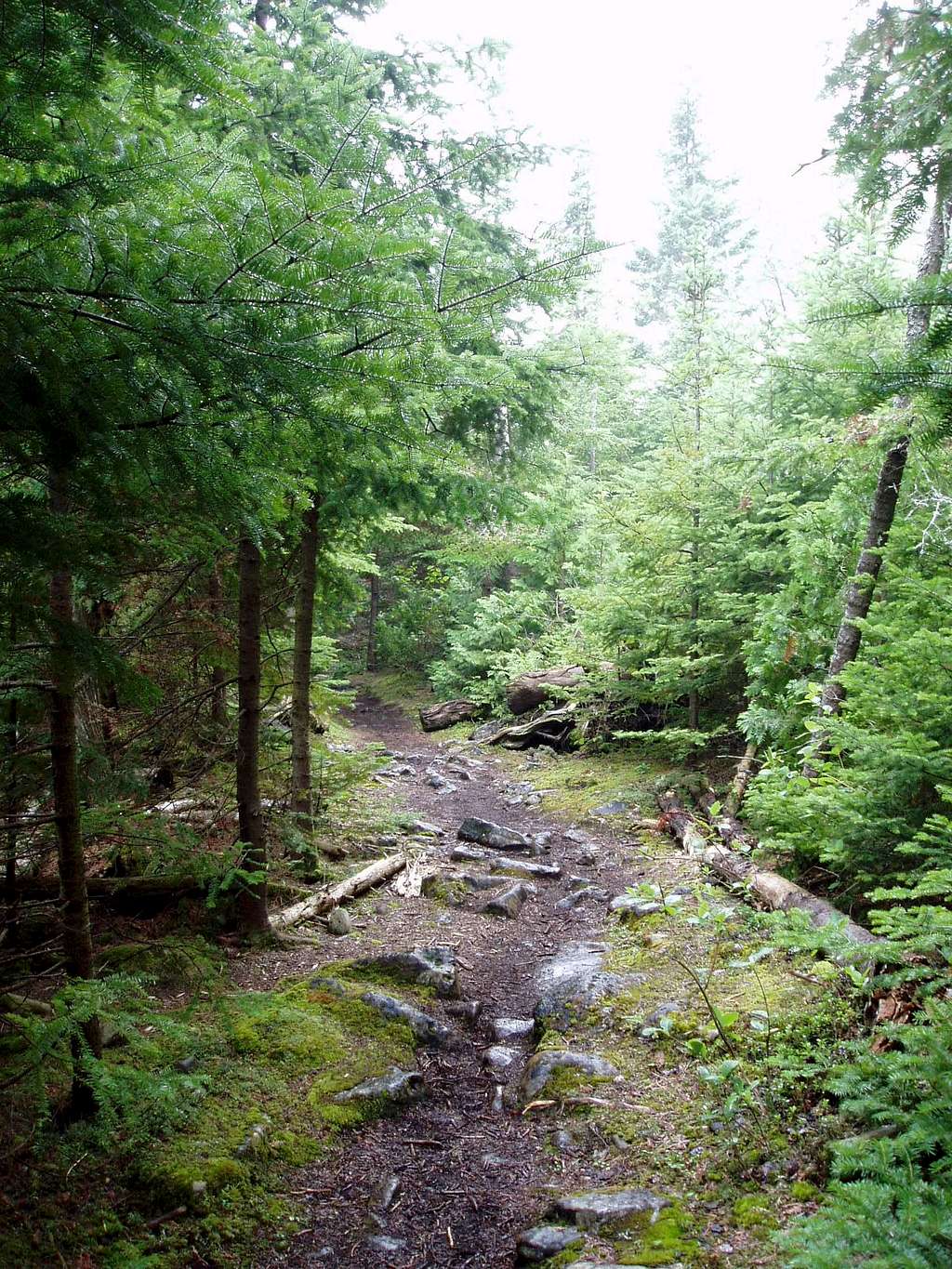 2004 Georgian Bay