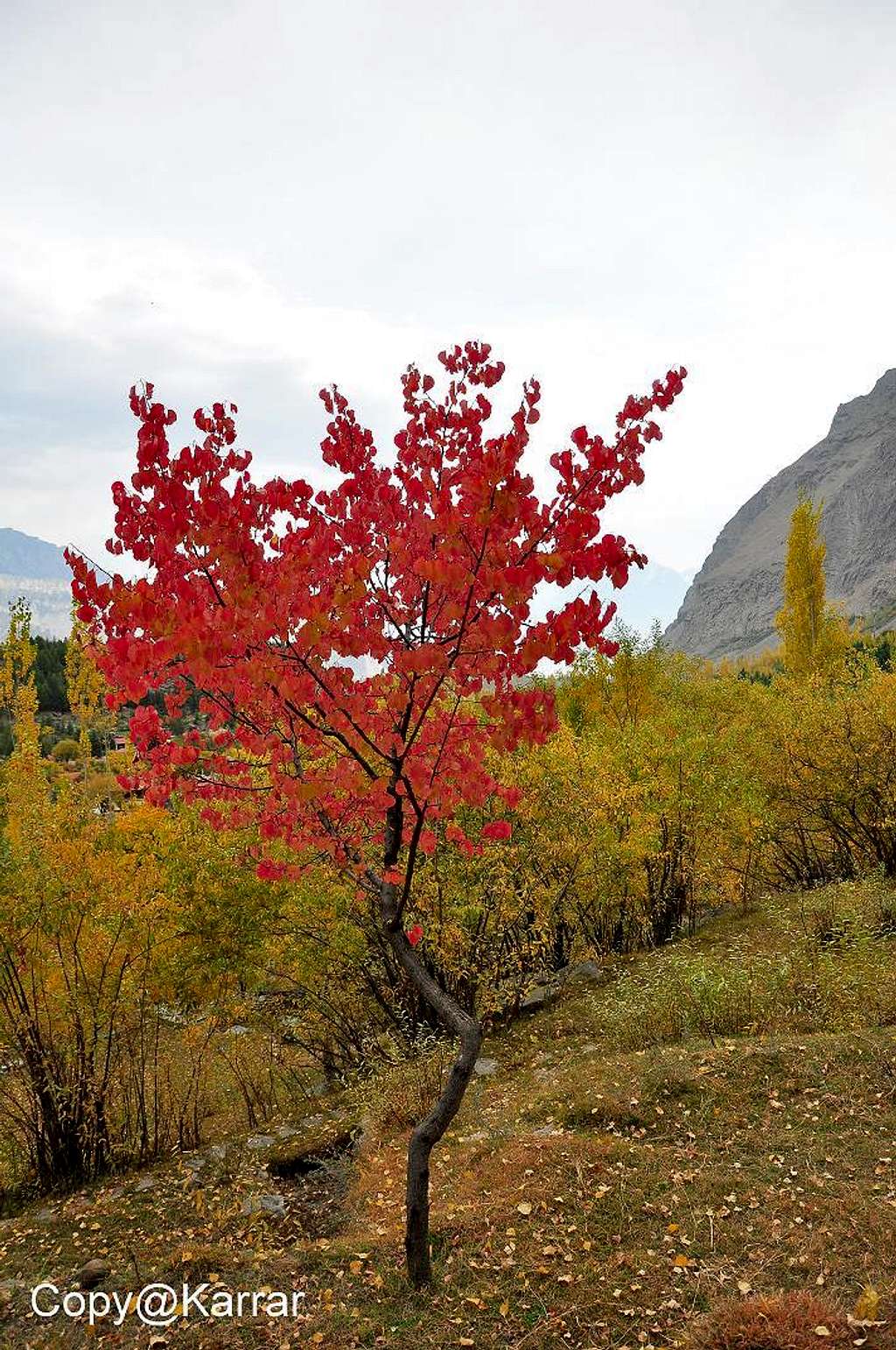 Autumn in Upper Kachura Baltistan