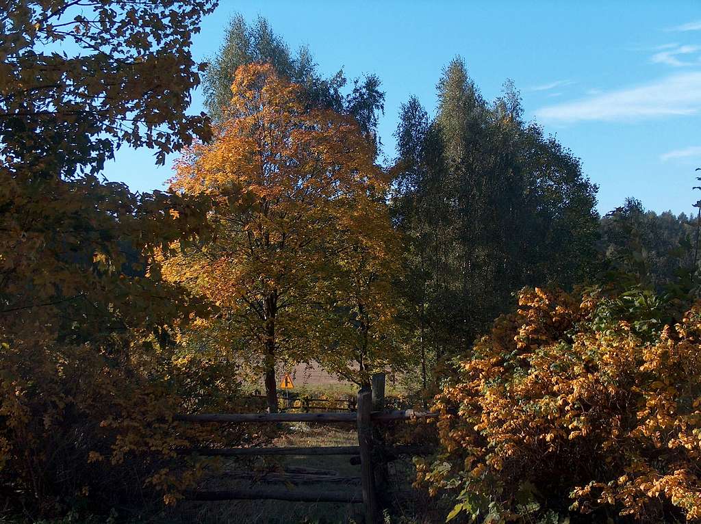 Autumn on the Ślęza hill