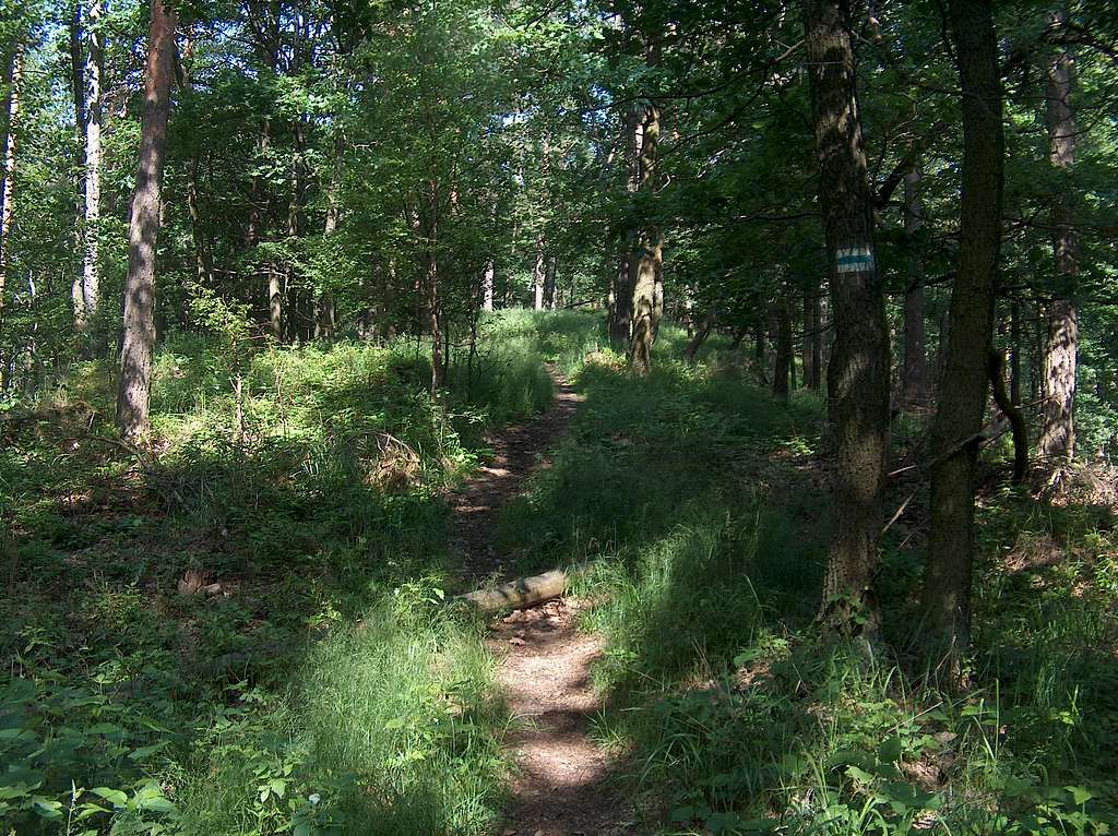 Trail on the Radunia massif, near Ślęza