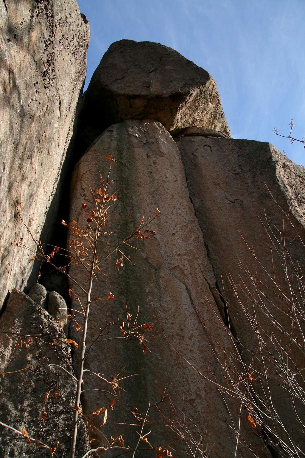 Wall That Dreams Are Made Of-- Bushwhack Crack