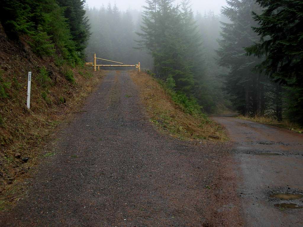Larch Mountain Road