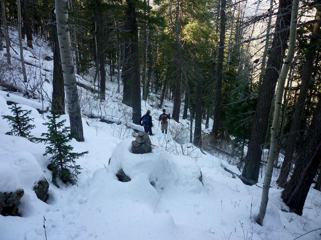 Descending the Swisher Trail