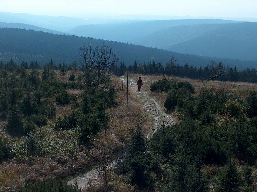 View from the outlook tower on the top of Velká Deštná 
