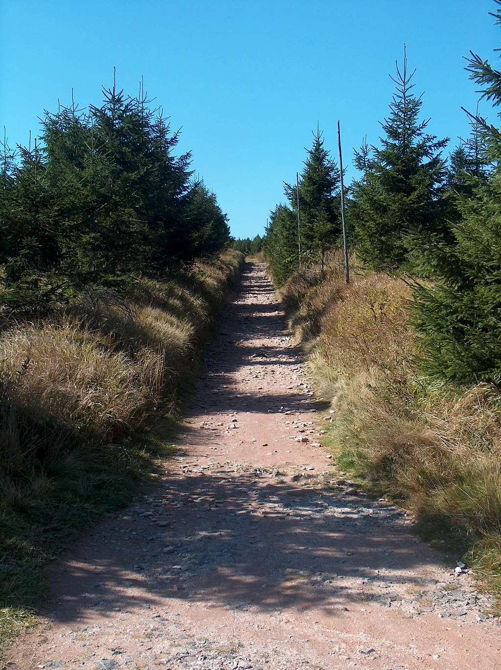 Trail to the top of Velká Deštná 