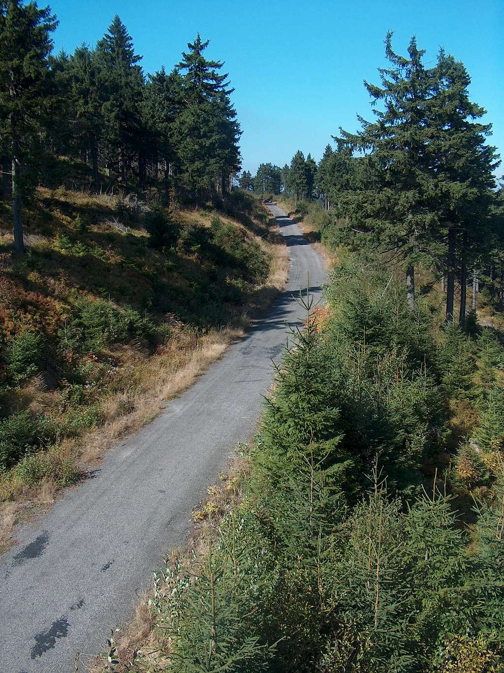 Cycling trail to the top of Velká Deštná