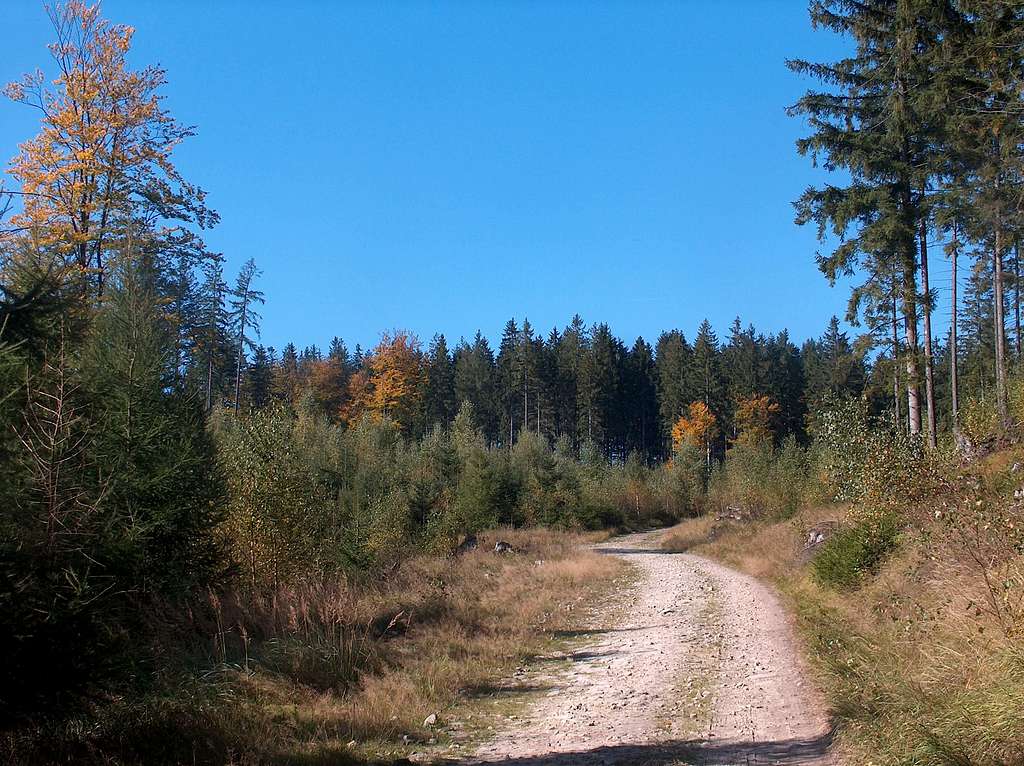 Trails in the Góry Bystrzyckie mts