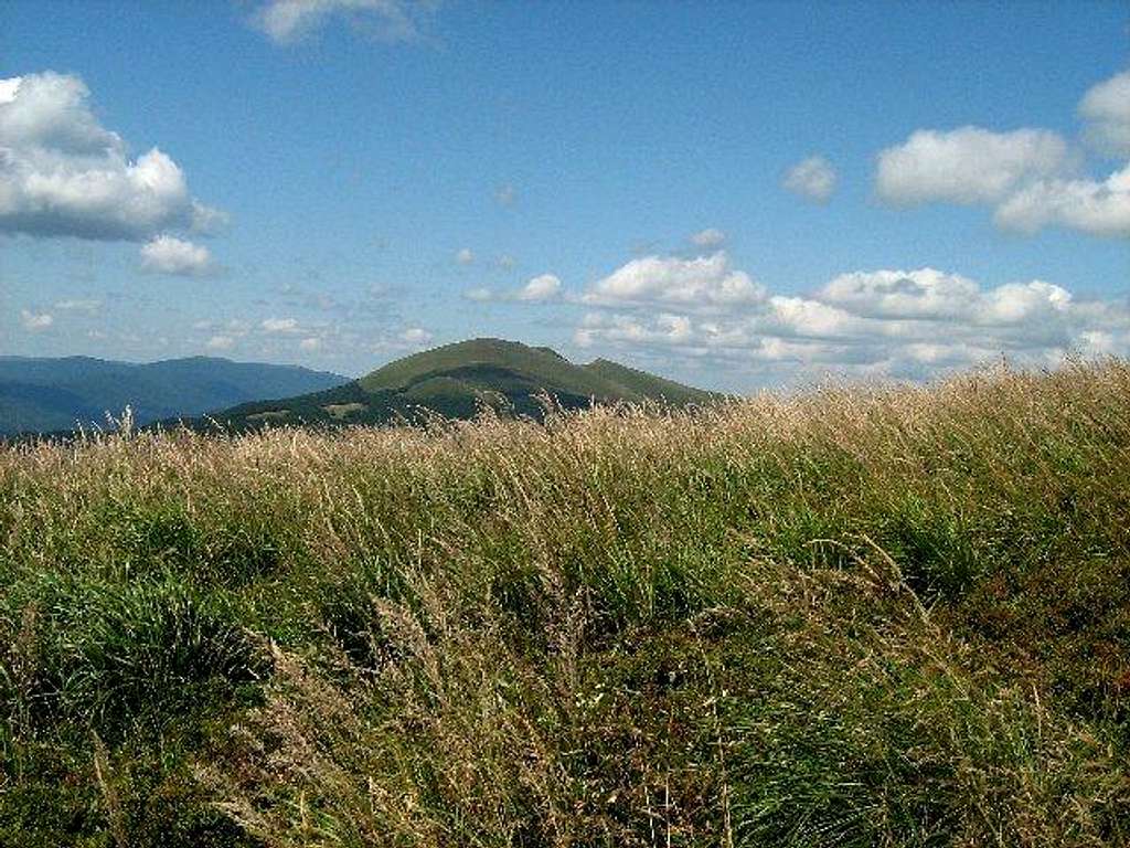 View towards Mount Tarnica and Szeroki Wierch