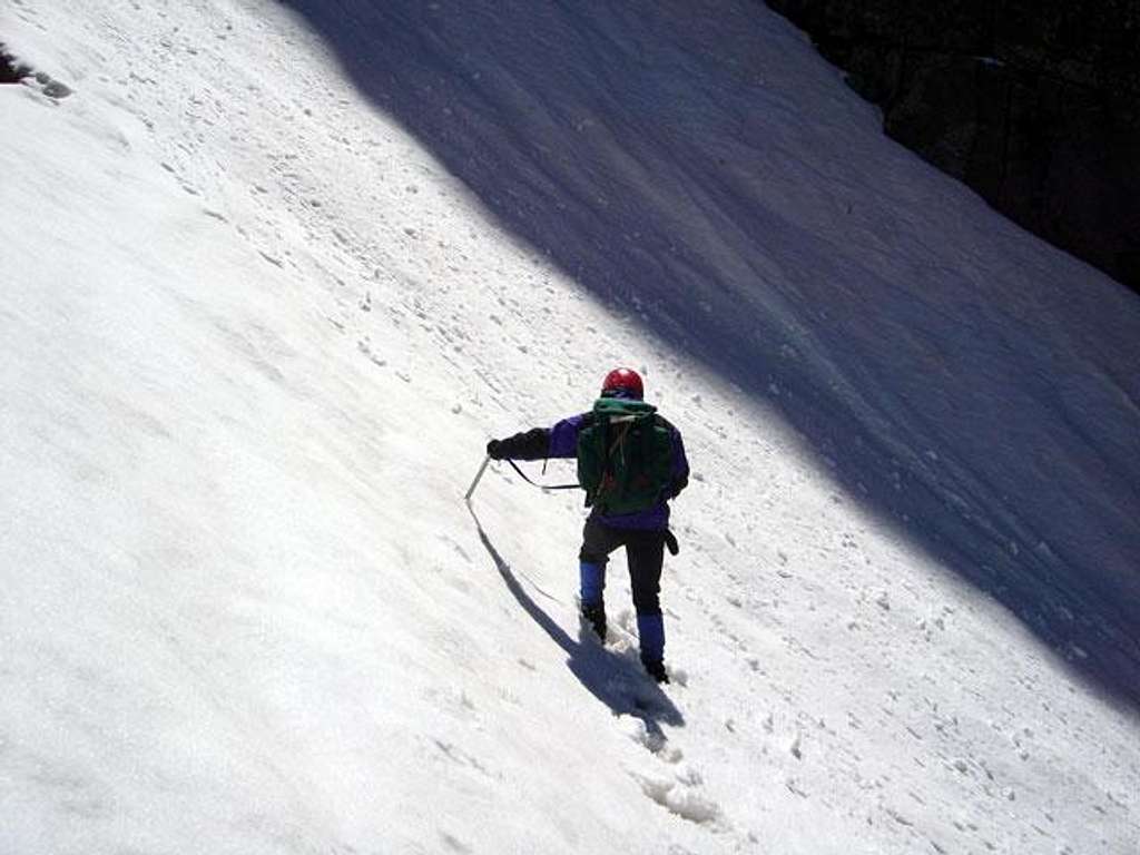 Nelson reenters the couloir...